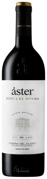 Áster - Finca El Otero 2019 (750ml)