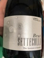 Fattoria Villa Ligi - Settecolli Brut NV (750ml)