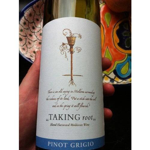 Acorex Wine Holding Taking Root Pinot Grigio 2021 (750ml)