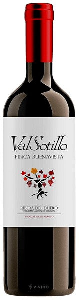 Bodegas Ismael Arroyo - Valsotillo Finca Buenavista 2018 (750ml)