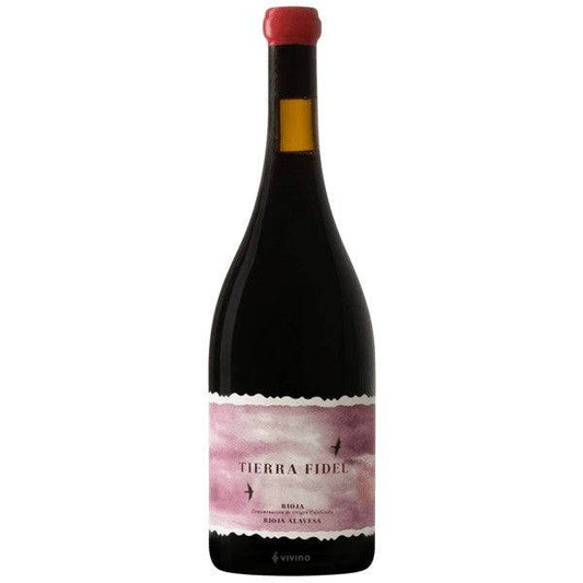 Bodegas Tierra Tierra Fidel Tinto 2019 (750ml)