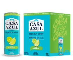 Casa Azul Lime Margarita Tequila Soda NV (42 ml)