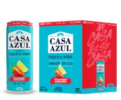 Casa Azul Strawberry Margarita Tequila Soda NV (42 ml)