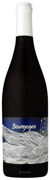 Domaine Didon - Bourgogne Rouge 2019 (750ml)