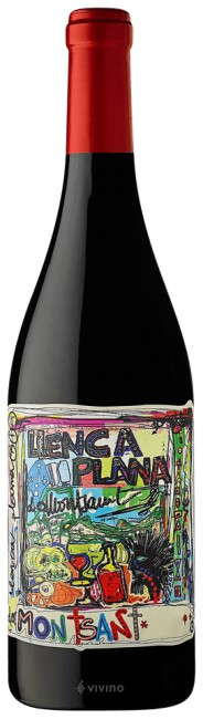 Terra de Falanis - Llenca Plana Montsant 2019 (750ml)