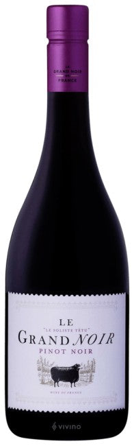 Le Grand Noir Pinot Noir 2022 (750ml)