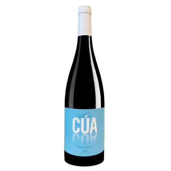 Peique Valle del Cua Tinto 2019 (750ml)