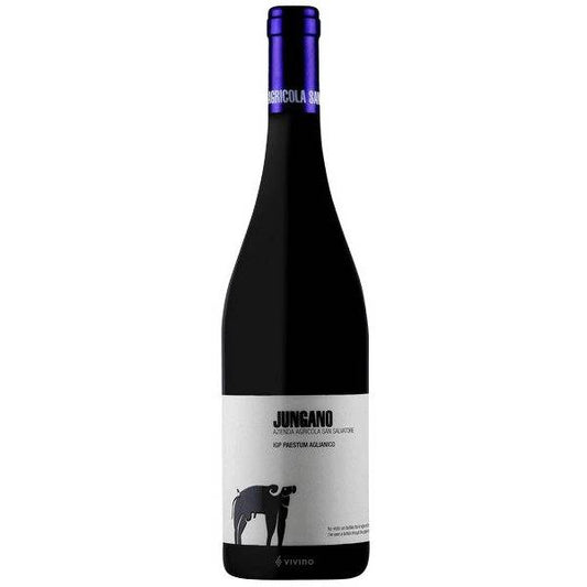 San Salvatore Jungano Aglianico Paestum 2017 (750ml)