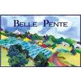 Belle Pente Pinot Gris 2019 (750ml)