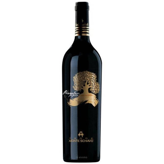 Terre Monte Schiavo Pieralisi For Friends Esino Rosso NV (750 ml)